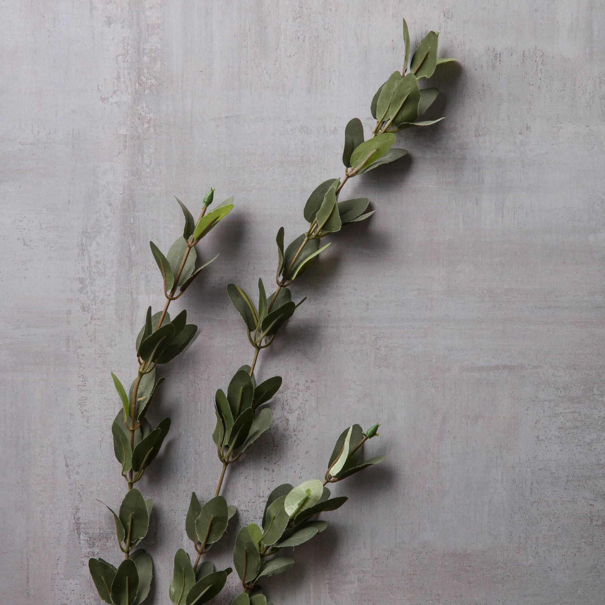 Huckleberry Leaf Spray by Ashland®